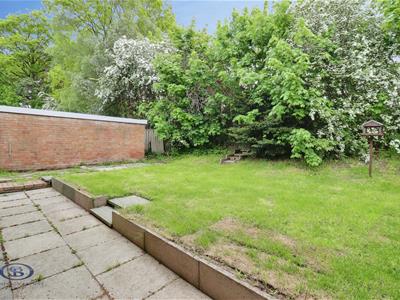 Picture 23